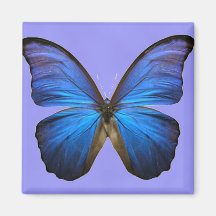 Papillon bleu magnifique de Morpho Aimant Pour Réfrigérateur