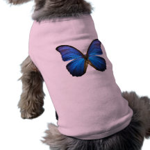 Papillon bleu magnifique de Morpho Manteaux Pour Chien