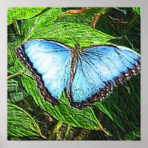 Papillon bleu posters