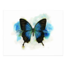 Papillon bleu toute papeterie d'occasion carte postale