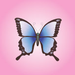 Papillons