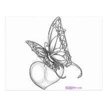 Papillon Carte Postale