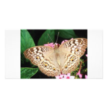 Papillon Cartes De Vœux Avec Photo