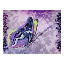 PAPILLON COLORÉ dans le LILAS, le POURPRE et le VE Carte Postale