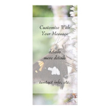 Papillon d'Agastache et de capitaine Carte Double