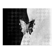 Papillon de deux tons cartes postales