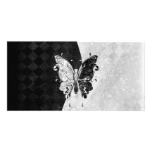 Papillon de deux tons photocarte