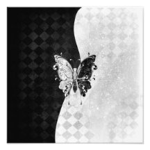 Papillon de deux tons photos sur toile