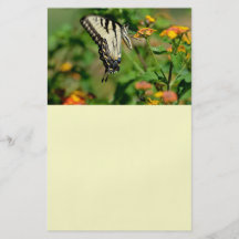 Papillon de machaon prospectus customisé