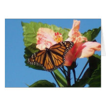 Papillon de monarque cartes de vœux