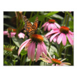 Papillon de monarque sur la copie de photo de Cone