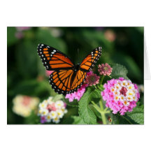 Papillon de monarque sur la fleur de Lantana Cartes De Vœux