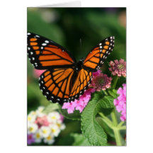 Papillon de monarque sur la fleur de Lantana Cartes