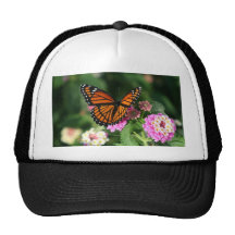Papillon de monarque sur la fleur de Lantana Casquettes