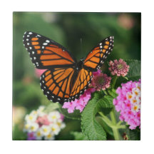 Papillon de monarque sur la tuile du Lantana Flowe Carreaux