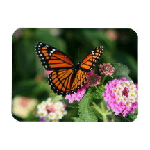 Papillon de monarque sur le Lantana Flowers.Magnet