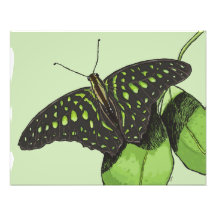 Papillon du camouflage de la nature photographies d’art