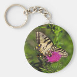 Papillon et abeille de machaon sur le chardon porte-clés