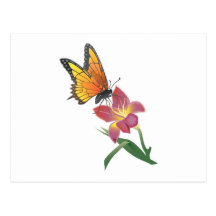 Papillon et fleur cartes postales