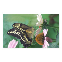 Papillon géant de machaon sur des fleurs autocollants
