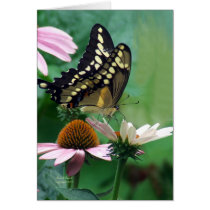 Papillon géant de machaon sur des fleurs cartes