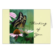 Papillon géant de machaon sur des fleurs cartes