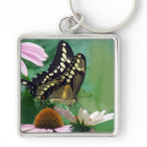 Papillon géant de machaon sur des fleurs porte-clés