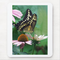 Papillon géant de machaon sur des fleurs tapis de souris