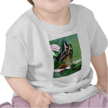 Papillon géant de machaon sur des fleurs t-shirts