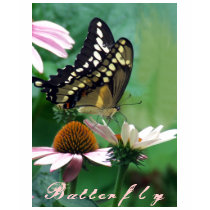 Papillon géant de machaon sur des fleurs t-shirts