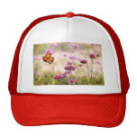 Papillon - Monarach - la vie douce Casquettes