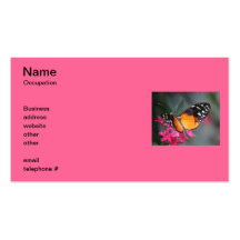 Papillon noir et par orange repéré 2 carte de visite