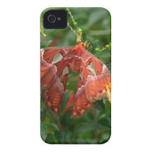 Papillon orange exotique coques iPhone 4 Case-Mate