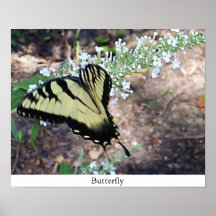 Papillon Poster