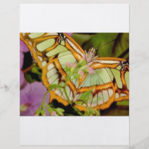 Papillon Prospectus