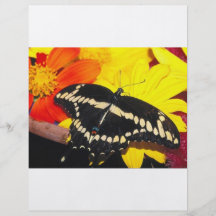 Papillon Prospectus Avec Motif