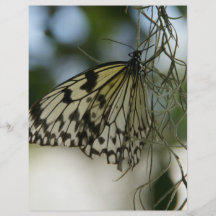 papillon prospectus customisé