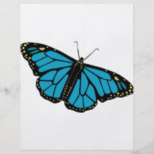 papillon prospectus en couleur