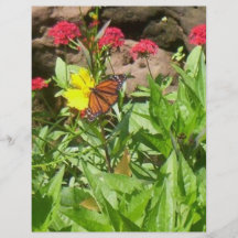 papillon prospectus en couleur