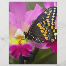 Papillon Prospectus Personnalisés