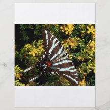 Papillon Tract Customisé