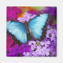 Papillon tropical 7 de Sammamish Washington Aimants