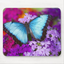 Papillon tropical 7 de Sammamish Washington Tapis De Souris