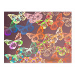 papillons carte postale