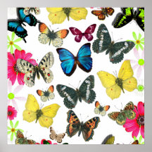 Papillons colorés de jaune vintage de rouge bleu poster