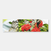 Papillons de papillon d'usines de fleurs adhésif pour voiture