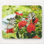 Papillons de papillon d'usines de fleurs tapis de souris