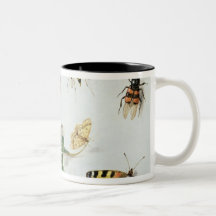 Papillons, mites et d'autres insectes tasse à café