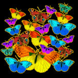 Magnets Papillons