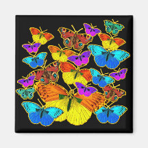 Papillons ! Papillons !  Aimant